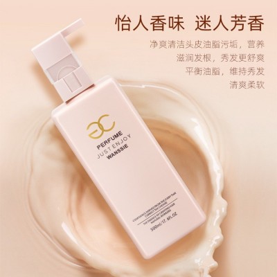 工厂直批洗发露洗发水膏 香水护发素套装 温和清爽滋养日化批发图3