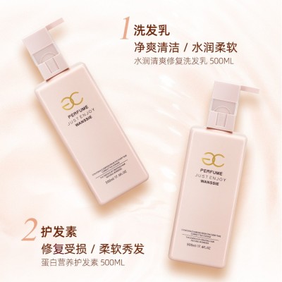 工厂直批洗发露洗发水膏 香水护发素套装 温和清爽滋养日化批发图4