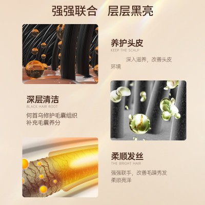 草本洗发水何首乌洗发露滋养头皮清爽柔顺护发养发液正品厂家批发图4