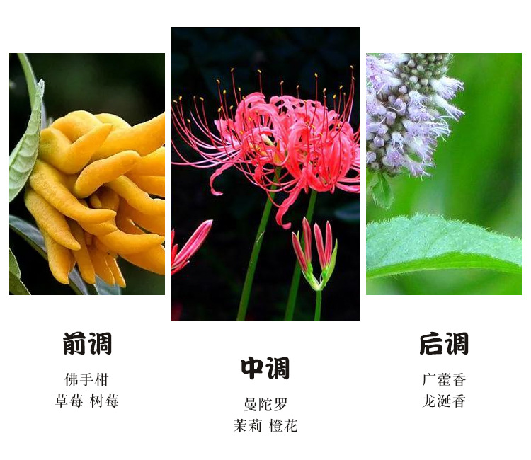 未标题-1_05.jpg