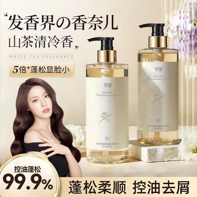 山茶花去屑止痒洗发水蓬松控油除螨沐浴露持久留香正品批发图2