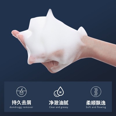 梵贞男士古龙香氛洗发露清洁头发污垢油脂顺滑发丝留香洗发水批发 3瓶图4