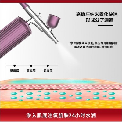 定制OEM/ODM家用面部高压纳米水光深层补水导入仪美白手持注氧仪图3
