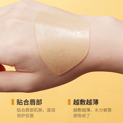 泊泉雅蜂蜜玻尿酸滋润唇膜水感莹润细致唇纹提靓唇色唇部护理唇膜 3盒图3