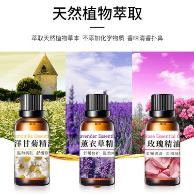 莜婷单方精油 玫瑰洋甘菊植物薰衣草美容院刮痧身体面部按摩精油 3瓶图2