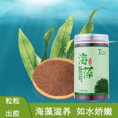 厂家小颗粒海藻面膜1000g批发直播 美容院护肤品草本海藻粉小颗粒图2