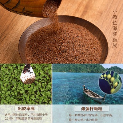 厂家小颗粒海藻面膜1000g批发直播 美容院护肤品草本海藻粉小颗粒图4