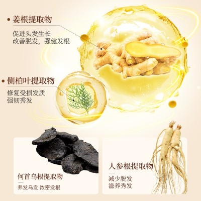 丽泉特生姜王防脱固发洗发水500ml控油清洁去屑侧柏叶洗发露 正品图2