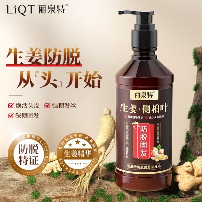 丽泉特生姜王防脱固发洗发水500ml控油清洁去屑侧柏叶洗发露 正品
