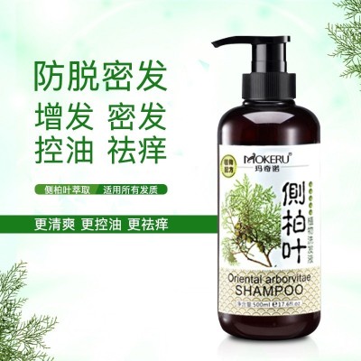 玛奇诺侧柏叶洗发水草本香植物护发洗发露清爽控油滋养洗头水批图4