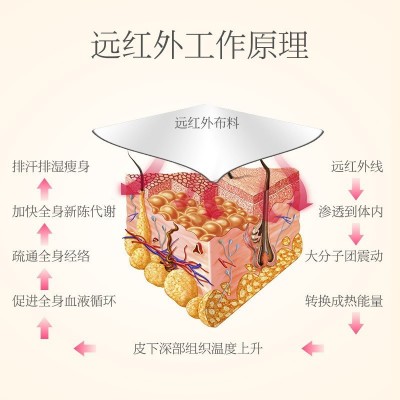 排酸毯排湿毯家用美容院全身桑拿毯汗蒸毯沙棘排寒排酸仪器跨境2件图4