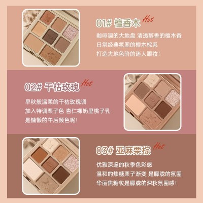 NOVO5604八色眼影 水泥灰干枯玫瑰亚麻棕大地色珠光哑光眼影盘图2