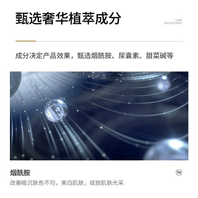 兰诗哲肤研美白祛斑精华液补水保湿改善粗糙减斑淡斑提亮精华液图2