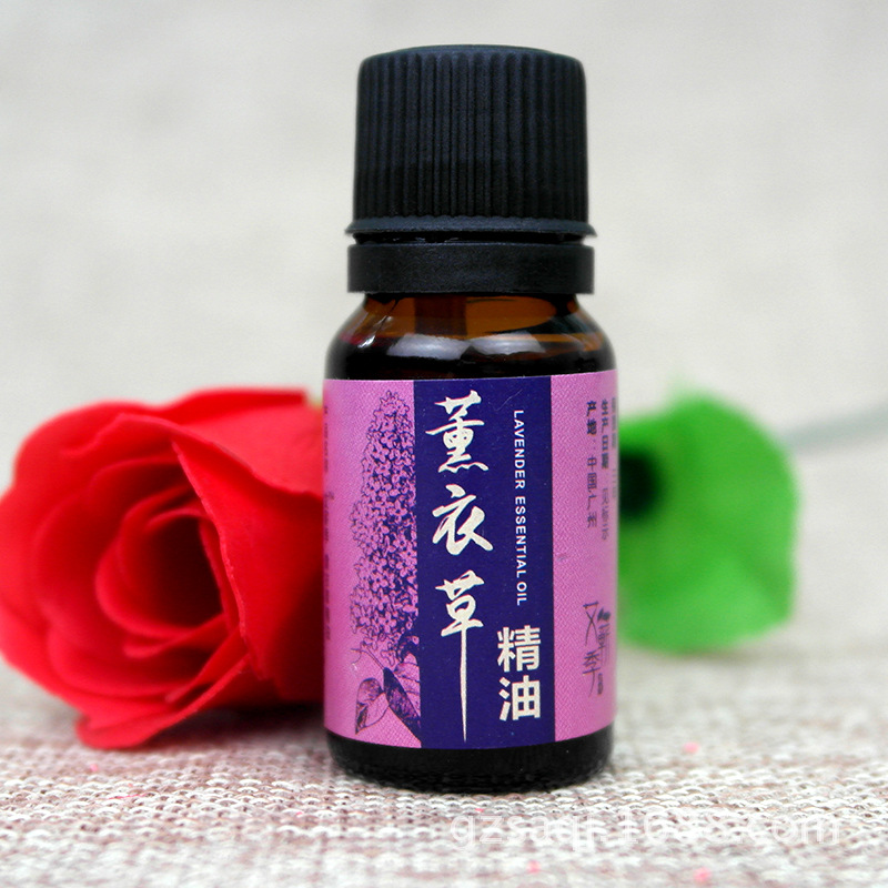 薰衣草3