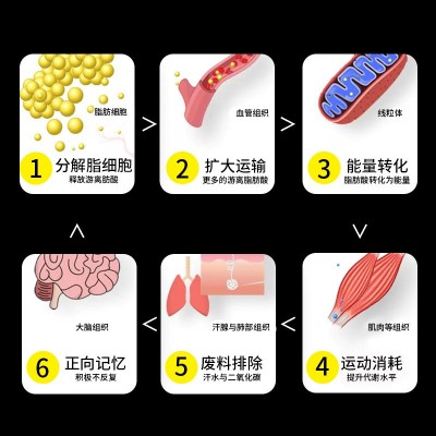 BOTASUN运动汗盈膏 生植物精粹运动活力膏源头工厂出口外贸专供图4