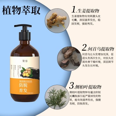 南京同仁堂育发防脱洗发水头皮控油生发生姜洗发露洗头膏现货代发图2