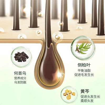 南京同仁堂恺岚朵防脱固发洗发水500ml现货 增发生发育发液洗发露图3