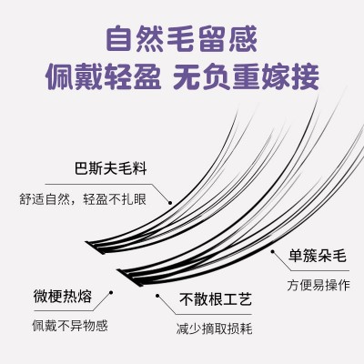 BQI恶魔漫画假睫毛 浓密自然仿真单簇分段式眼尾加长睫毛批发图4