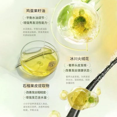 维特丝秘境奇遇洗发水控油蓬松去屑止痒洗头膏露洗护套装厂家批发图4