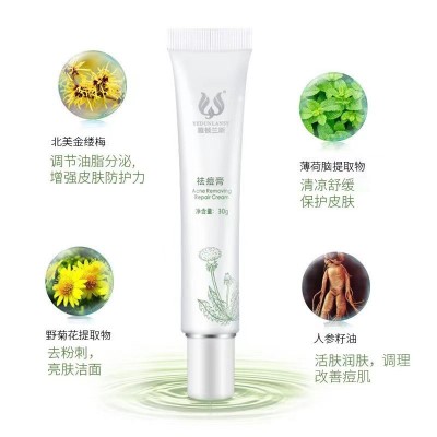 雅顿兰斯细致毛孔去痘霜批发 淡化痘印粉刺草本植物祛痘膏图2