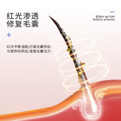 头皮上药器按摩梳家用电动生发液导入神器可微电流负离子红光振动图4