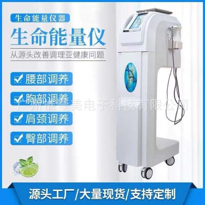 生命密码生命能量仪美容院灸导仪图2