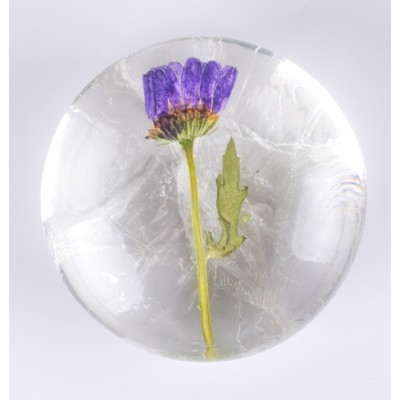 氨基酸皂鲜花草手工皂批发 氨基酸金箔皂 温和滋润补水精 油皂厂家图2
