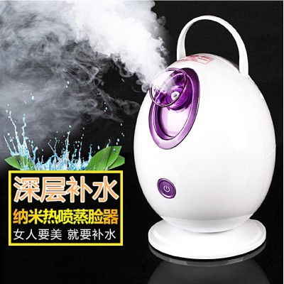 厂家直销新款鸡蛋离子蒸脸器/喷雾仪 美容仪 补水仪美容仪器图4