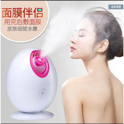 厂家直销新款鸡蛋离子蒸脸器/喷雾仪 美容仪 补水仪美容仪器