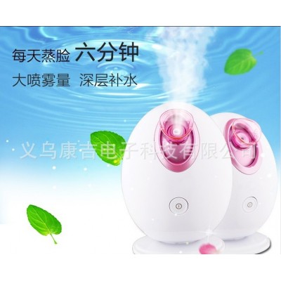 厂家直销新款鸡蛋离子蒸脸器/喷雾仪 美容仪 补水仪美容仪器图3