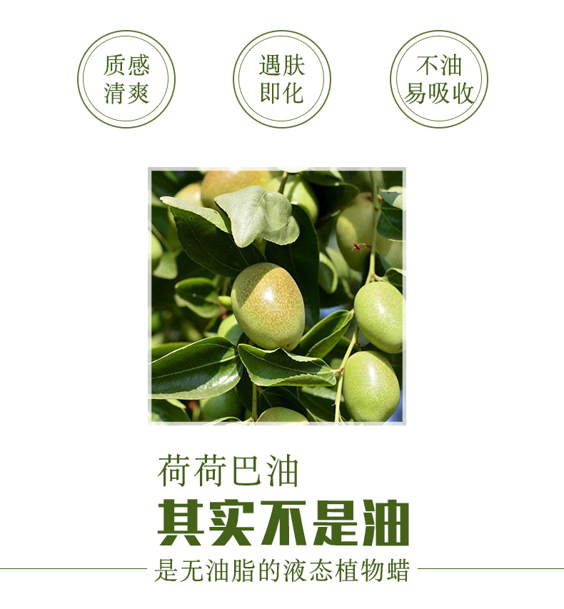 荷荷巴油_05.jpg