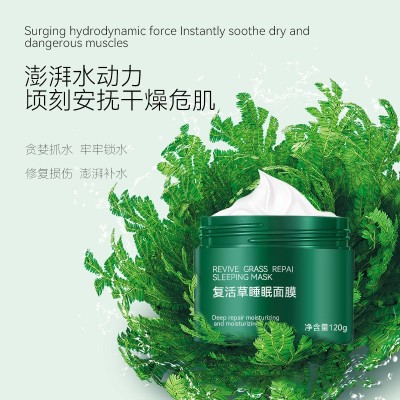 复活草免洗睡眠面膜涂抹式补水保湿锁水睡眠面膜膏OEM贴牌代加工图3