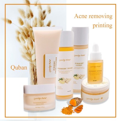 跨境外贸英文版 Turmeric skin care case姜黄护肤保湿控油肌肤