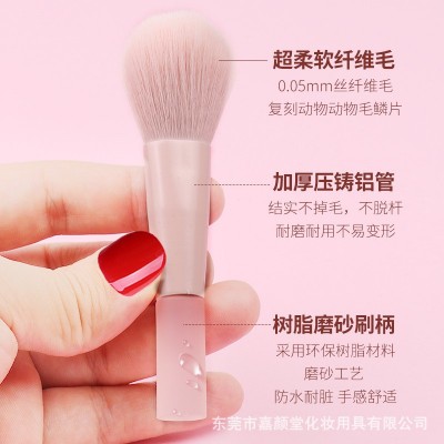抖音爆款半糖蜜桃迷你化妆刷套装旅行套刷化妆工具粉色散粉腮红刷图3