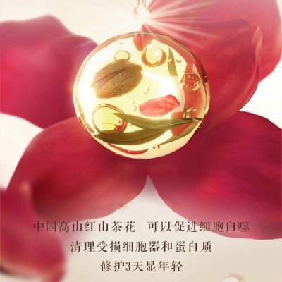 山茶花修护润肤精华油OEM加工化妆品 山茶籽靓肤油抗皱淡纹润肤油图4