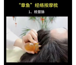 专供美容院的“章鱼”经络按摩梳。 #头部放松