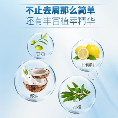 丽榜正品名发世家营养洗发露去屑受损控油洗发水发廊理发店图4