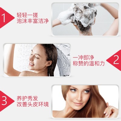 丽榜保罗迪雅百里香洗发水深层营养滋润发廊理发店880ml图4