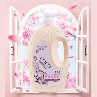 特黛香水型1L凯蒂丝洗发露柔顺持续留香洗发水家庭装现货批发代发图3