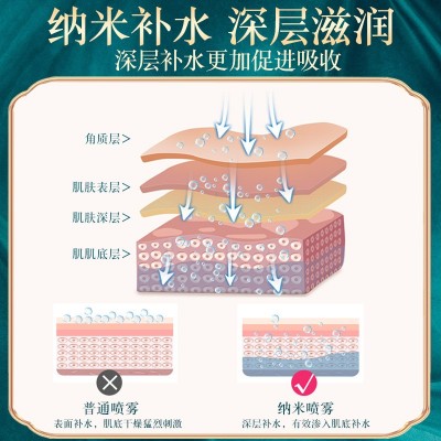 纳米离子热喷蒸脸仪脸部保湿补水仪美容仪器美容加湿器喷雾蒸脸器图4