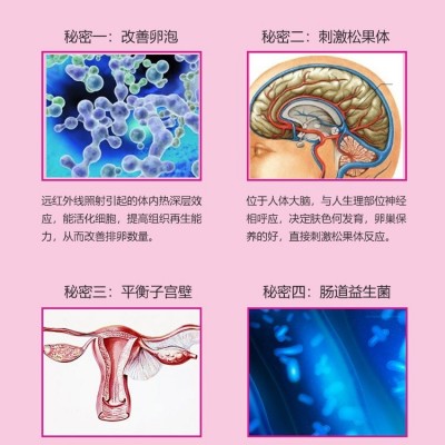 远红外线卵巢保养仪汗蒸仓干蒸美容院宫仪暖发汗箱能量养生太空舱图5