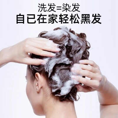 中华禅洗一支黑白转黑染发剂 中飘染发膏自然黑色 一支黑 家用洗发图3