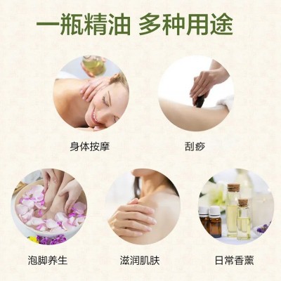 艾草生姜按摩精油美容院专供疏通经络刮痧全身体按摩植物发热精油图4